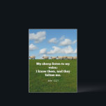 Bible verse, John 10:27, Briefkaart<br><div class="desc">Famous scripture verse,  John 10:27,  My sheep listen to my voice; I know them,  and they follow me.</div>