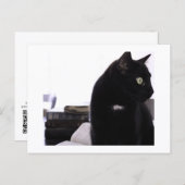 Bibles and Black Cat Postcard Print by JH Thornton Briefkaart (Voorkant / Achterkant)