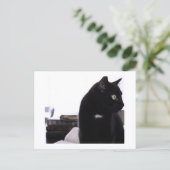 Bibles and Black Cat Postcard Print by JH Thornton Briefkaart (Staand voorkant)