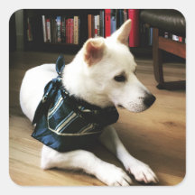 Bibliotheek Eno Sticker