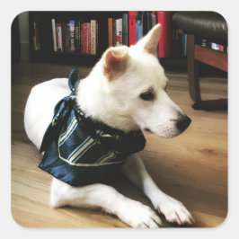 Bibliotheek Eno Sticker