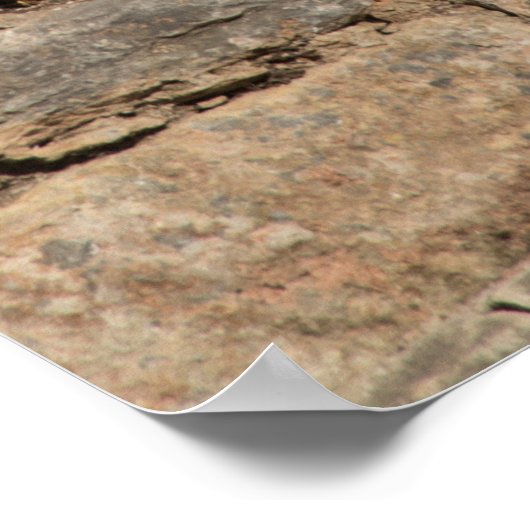 Bibliotheek van Ephesus Ruins Poster (Hoek)