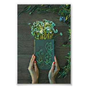 bibliotheekillustraties foto afdruk