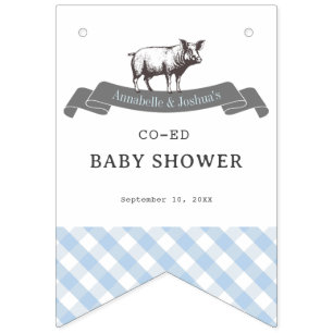 Bibs & Ribs BBQ Rustiek Blauw Gingham Baby shower Vlaggetjes