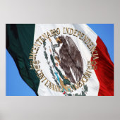 Bicentenario y Centenario Celebracion Poster (Voorkant)