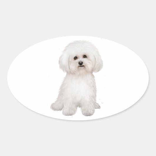 Bichon B Ovale Sticker (Voorkant)
