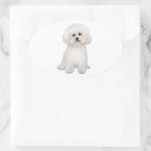 Bichon B Ovale Sticker (Tas)