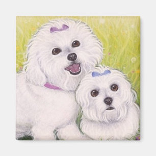 Bichon Babies Magneet