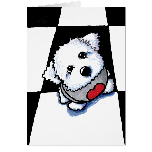 Bichon Baby Briefkaart (Voorkant)