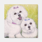 Bichon Baby's Magneet (Voorkant)
