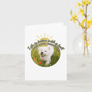 Bichon & Ball Paardenbloem Dagen Kaart