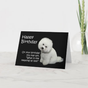 Bichon Birthday-kaart Kaart