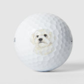 Bichon, Bolognese, Coton, Havanees, Maltees Golfballen (Voorkant)