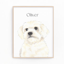 Bichon, Bolognese, Katoen, Havanese, Maltese Kunst Foto Afdruk
