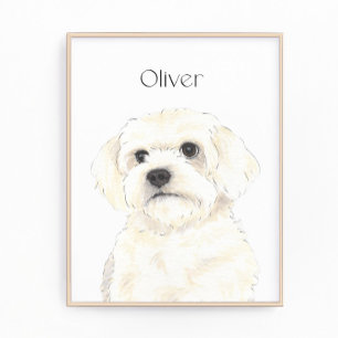 Bichon, Bolognese, Katoen, Havanese, Maltese Kunst Foto Afdruk