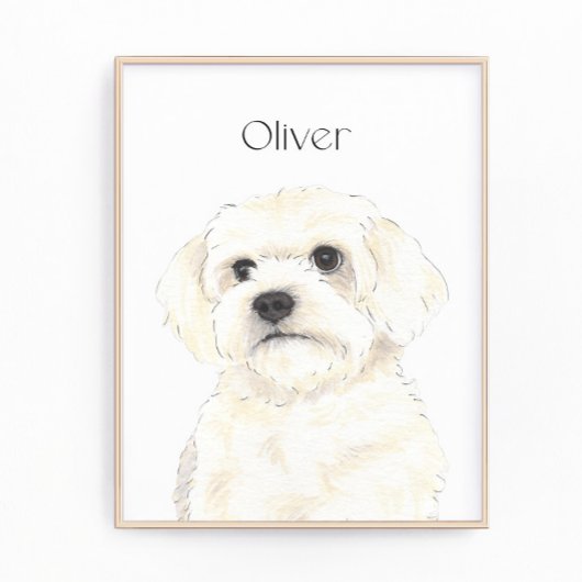 Bichon, Bolognese, Katoen, Havanese, Maltese Kunst Foto Afdruk