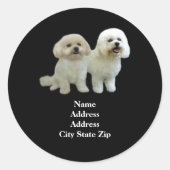 Bichon Buddies Adreslabel Ronde Sticker (Voorkant)