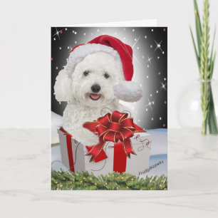 Bichon Christmas Kaarten