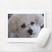 Bichon close muismat (Met muis)