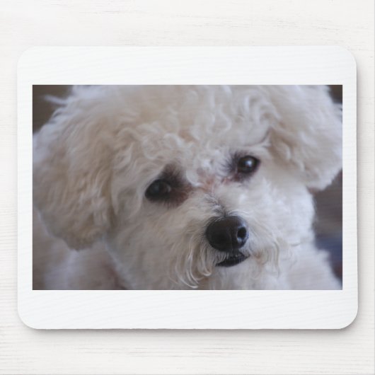 Bichon close muismat (Voorkant)