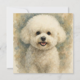 Bichon Frisé