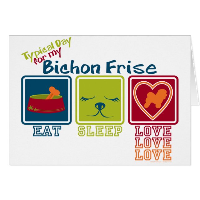 Bichon Frise (Voorkant Horizontaal)