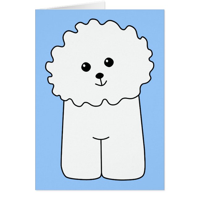 Bichon Frise. (Voorkant)