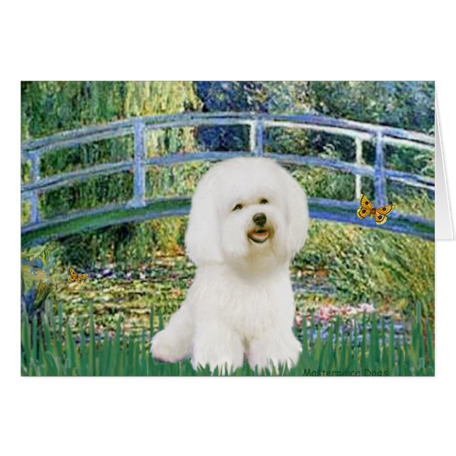 Bichon Frise 1 - brug (Voorkant Horizontaal)