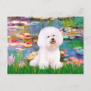Bichon Frise 1 - Lelies 2 Briefkaart