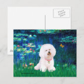Bichon Frise 1 - Lelies #5 Briefkaart (Voorkant / Achterkant)