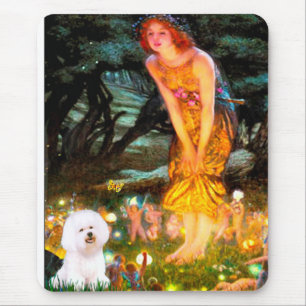 Bichon Frise 1 - Middernacht Muismat