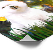 Bichon Frise 1 - Middernacht Poster (Hoek)