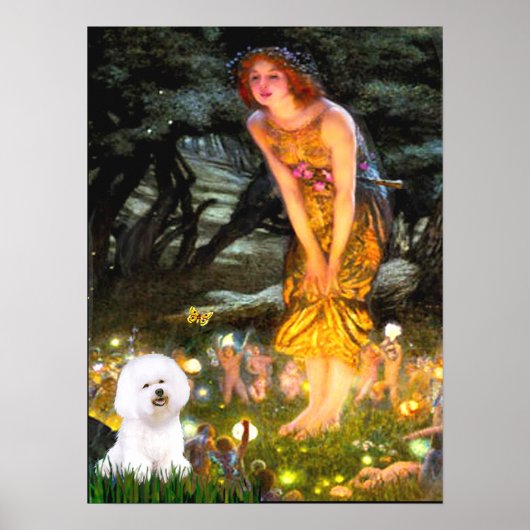 Bichon Frise 1 - Middernacht Poster (Voorkant)