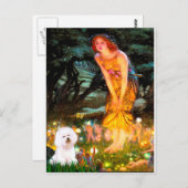 Bichon Frise 1 - MidEve Briefkaart (Voorkant / Achterkant)