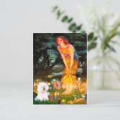 Bichon Frise 1 - Midzomernacht Briefkaart (Staand voorkant)