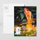 Bichon Frise 1 - Midzomernacht Briefkaart (Voorkant / Achterkant)