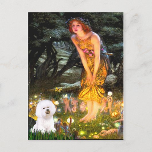 Bichon Frise 1 - Midzomernacht Briefkaart (Voorkant)