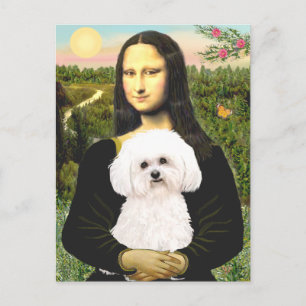 Bichon Frise 2R - Mona Lisa Briefkaart