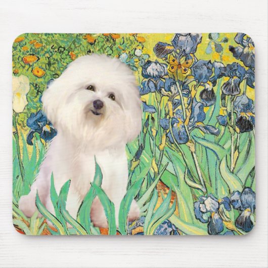 Bichon Frise 4 - Irissen Muismat (Voorkant)