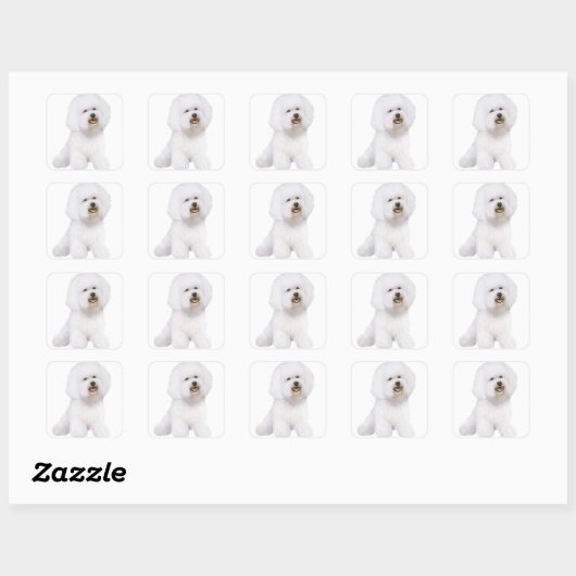 Bichon Frise (A) Vierkante Sticker (Vel)