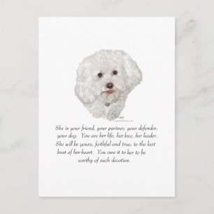Bichon Frise Aandenken VROUW Briefkaart