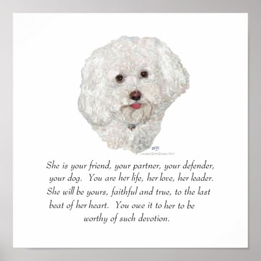Bichon Frise Aandenken VROUWELIJK Poster (Voorkant)