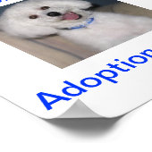 Bichon Frise Adoption Today Sign Poster (Hoek)