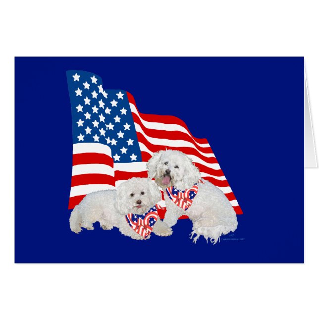 Bichon Frise Amerikaanse Vlag (Voorkant Horizontaal)