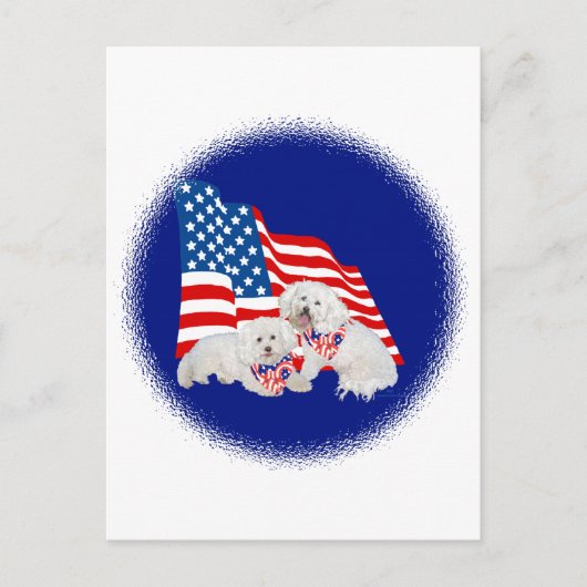 Bichon Frise Amerikaanse Vlag Briefkaart (Voorkant)