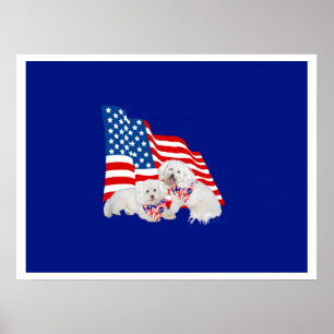 Bichon Frise Amerikaanse Vlag Poster