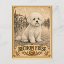 Bichon Frise, Antieke Erfhond