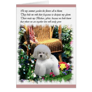Bichon Frise Art Gifts
