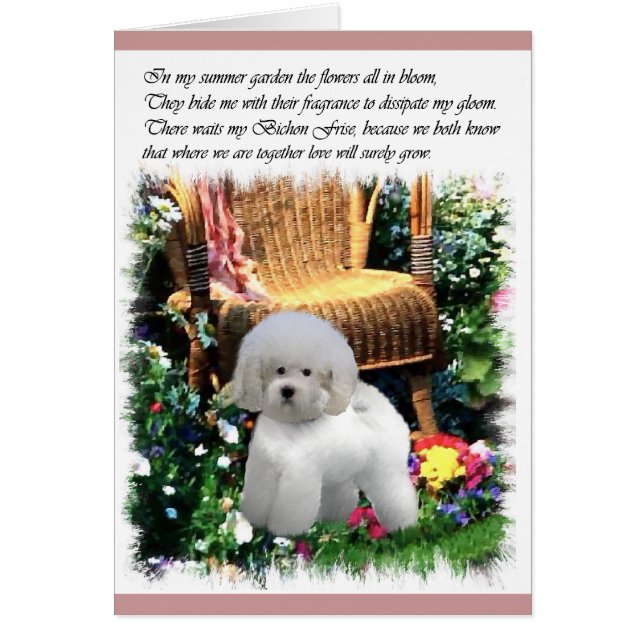 Bichon Frise Art Gifts (Voorkant)