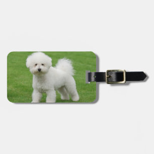 Bichon Frise Bagagelabel
